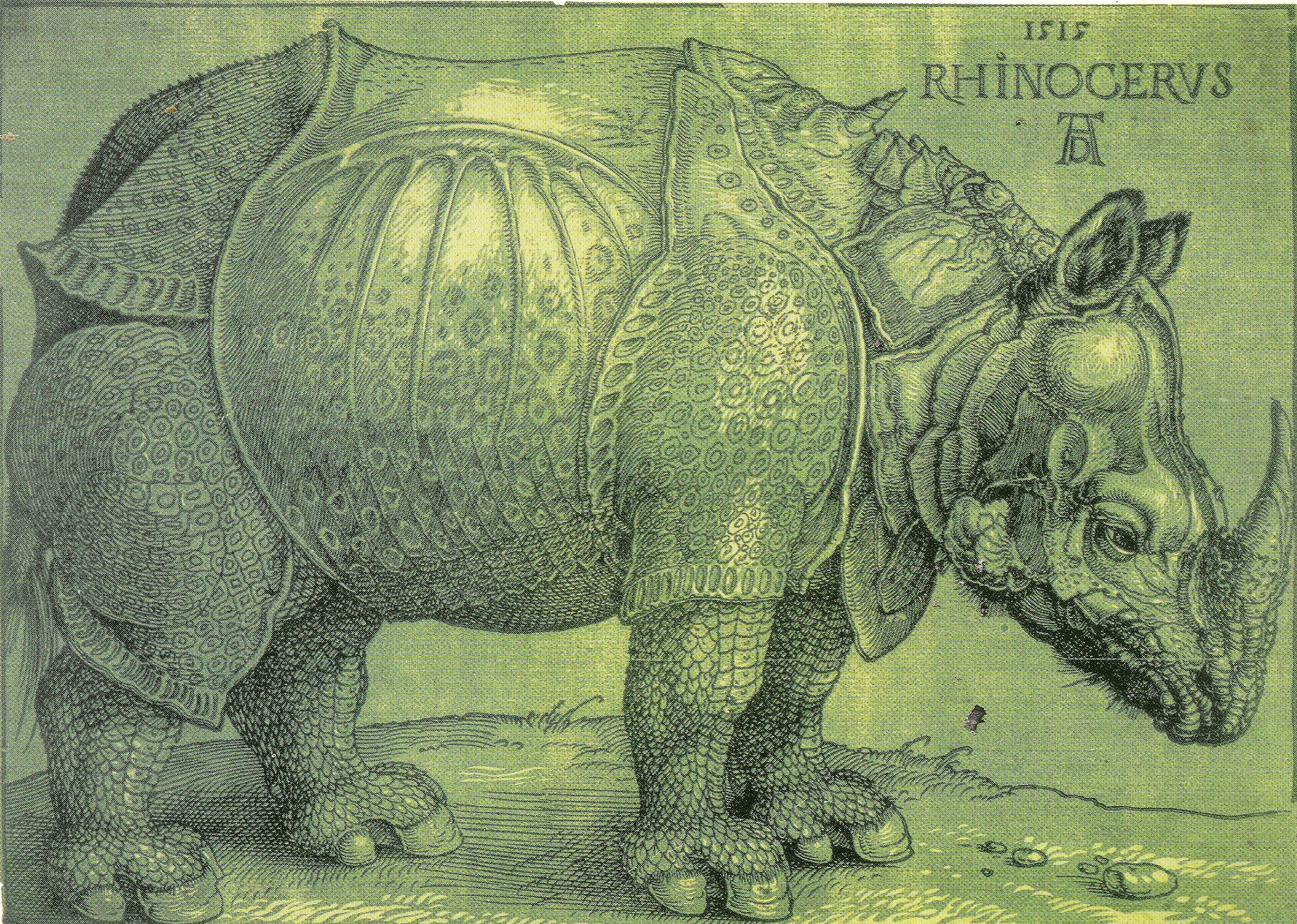 Albrecht Dürer: Rhinocerus (1515), Holzschnitt — ein gepanzertes Nashorn im Profil.