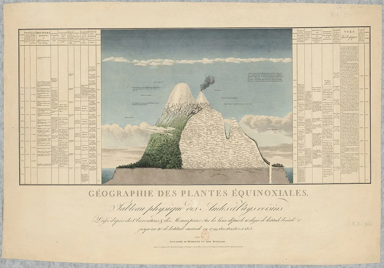 Das historische Tableau physique des Andes et pays voisins (1807): der Chimborazo im Querschnitt, mit Pflanzennamen auf der jeweiligen Höhe und engmaschigen klimatischen Messdaten in Spalten am Rand.