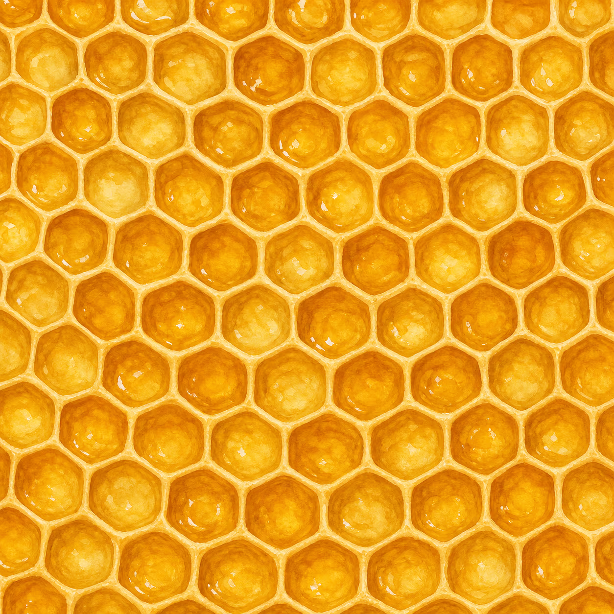 Nahaufnahme-Illustration goldener, teils verdeckelter Bienenwaben-Zellen, in denen reifer Honig schimmert.