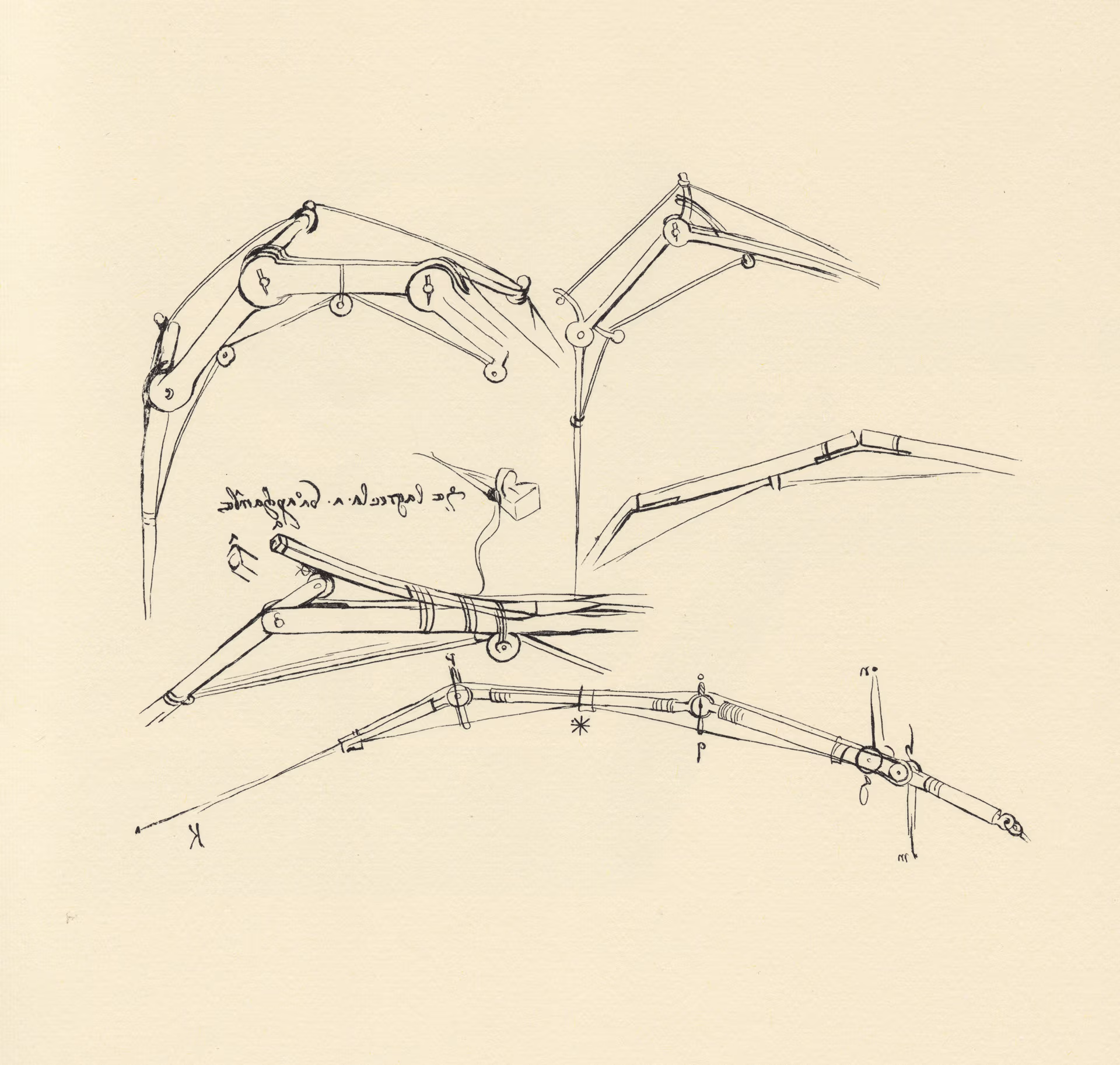 Skizze einer geplanten Flugmaschine von Leonardo da Vinci (gemeinfrei).